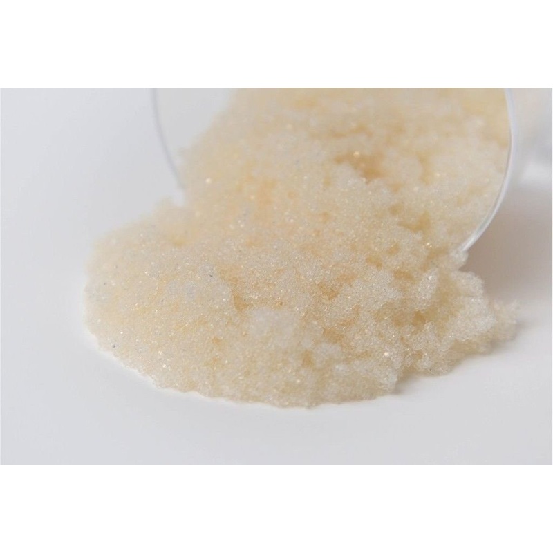SBACR-HP Type I Anion Tannin Selective – 1 CU/FT