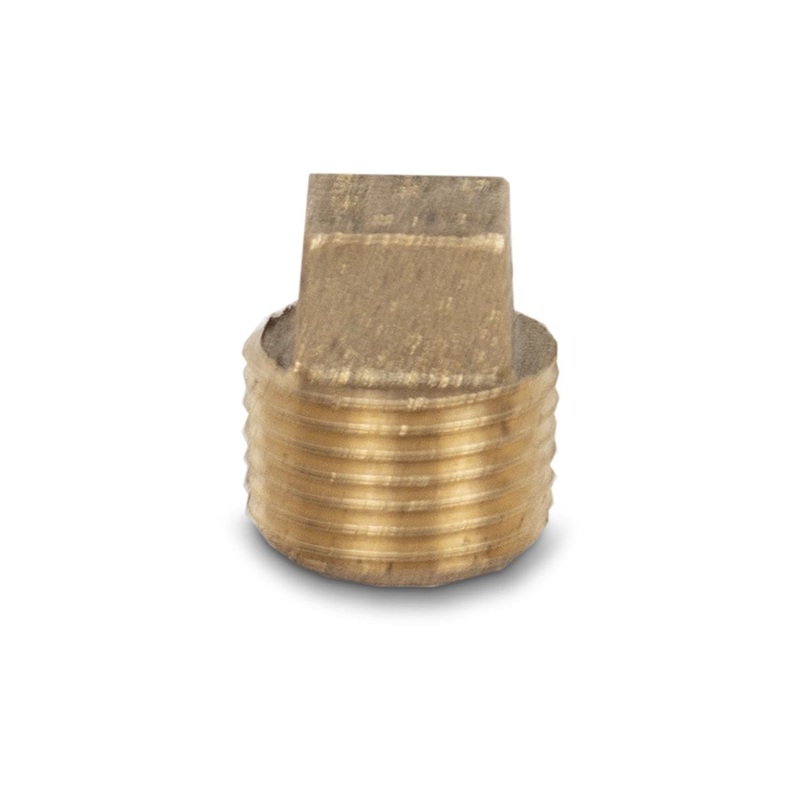 4 SS Housing Brass End Plug 1/2 FNPT