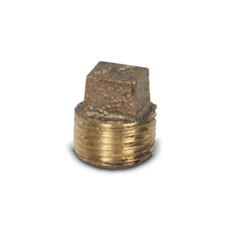 2.5 SS Housing Brass End Plug 3/8 FNPT